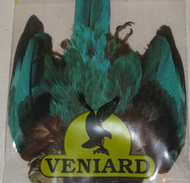 ����� ��������� Veniard